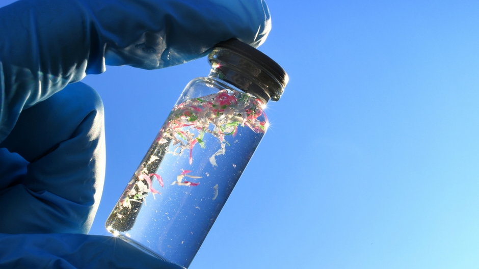 Jak mikroplastik wpływa na zdrowie? Sprawdzali to przez 3 lata badań