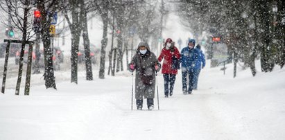 Jaka będzie zima 2021/22? Ten kwiat zdradza wszystko