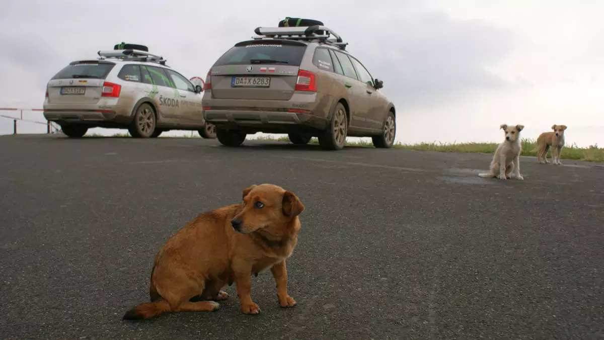 Skoda Octavia Scout w Rumunii