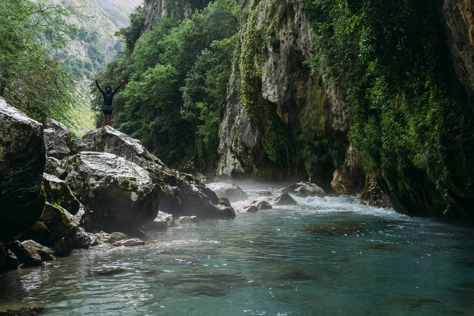 Picos de Europa