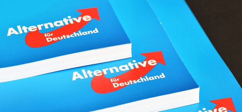 AfD silna nie tylko na wschodzie Niemiec. Niepokojący SONDAŻ