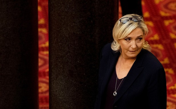 Jeżeli wierzyć sondażom, w wyborach europejskich LR z 14 proc. intencji głosowania znajduje się daleko za skrajnie prawicowym Zjednoczeniem Narodowym (RN) Marine Le Pen (dawny Front Narodowy) i prezydencką partią LREM.