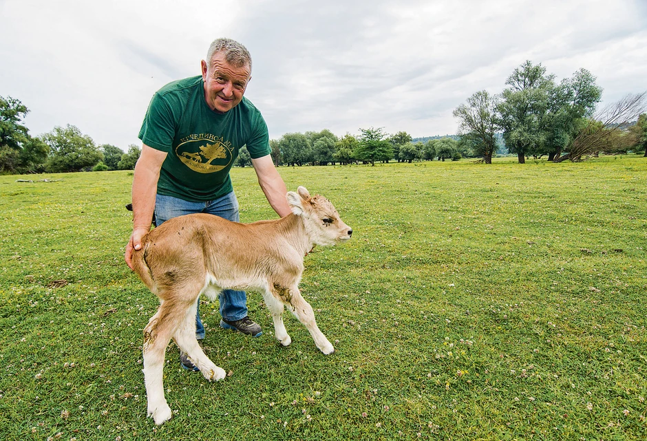Kada su poplave, životinje skelama prebacujemo u selo. Prednost imaju magarci jer se plaše vode