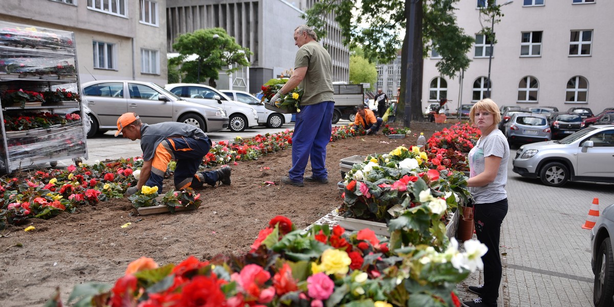 Pod urzędem miasta będą rosnąć nowe kwiaty