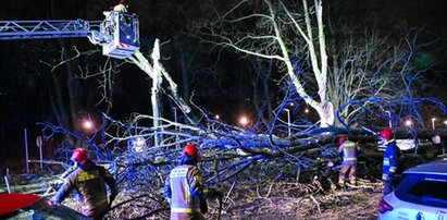 Niebezpiecznie w pogodzie. Wydano alerty dla całego kraju