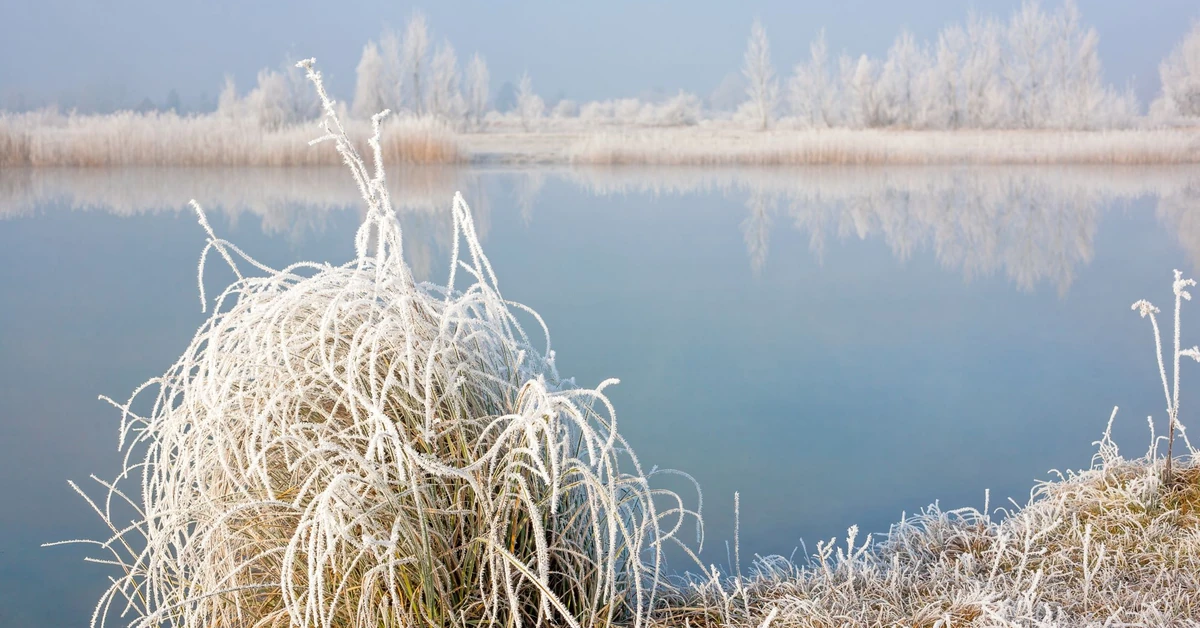 Tej nocy mróz uderzy najmocniej. Synoptycy wskazują konkretną datę. Czy w nocy z 17 na 18 grudnia będzie mróz w Polsce?