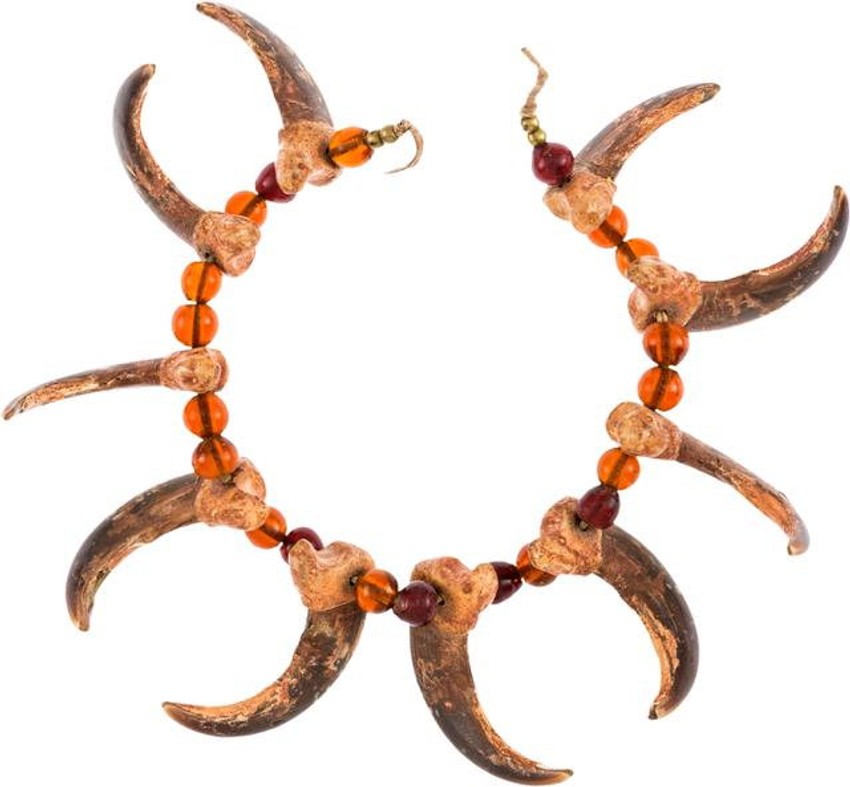 Ogrlica od kandži grizli medveda