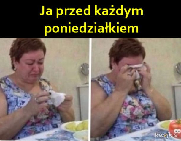 Poniedziałek — najlepsze memy