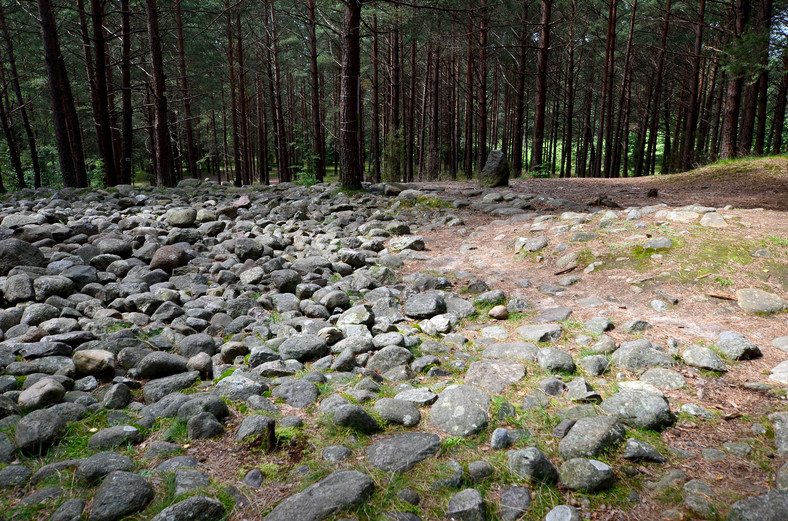 Polskie Stonehenge - zagadkowe kamienne kręgi w Węsiorach