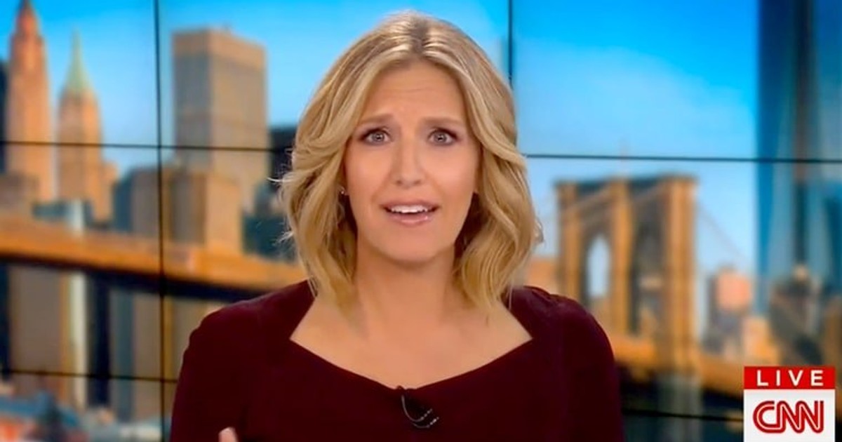 CNN's pregnant anchor faints on live TV Pulse Nigeria