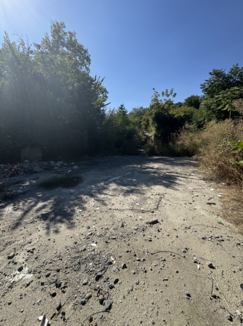 Na očišćenim divljim deponijama biće zasađene sadnice