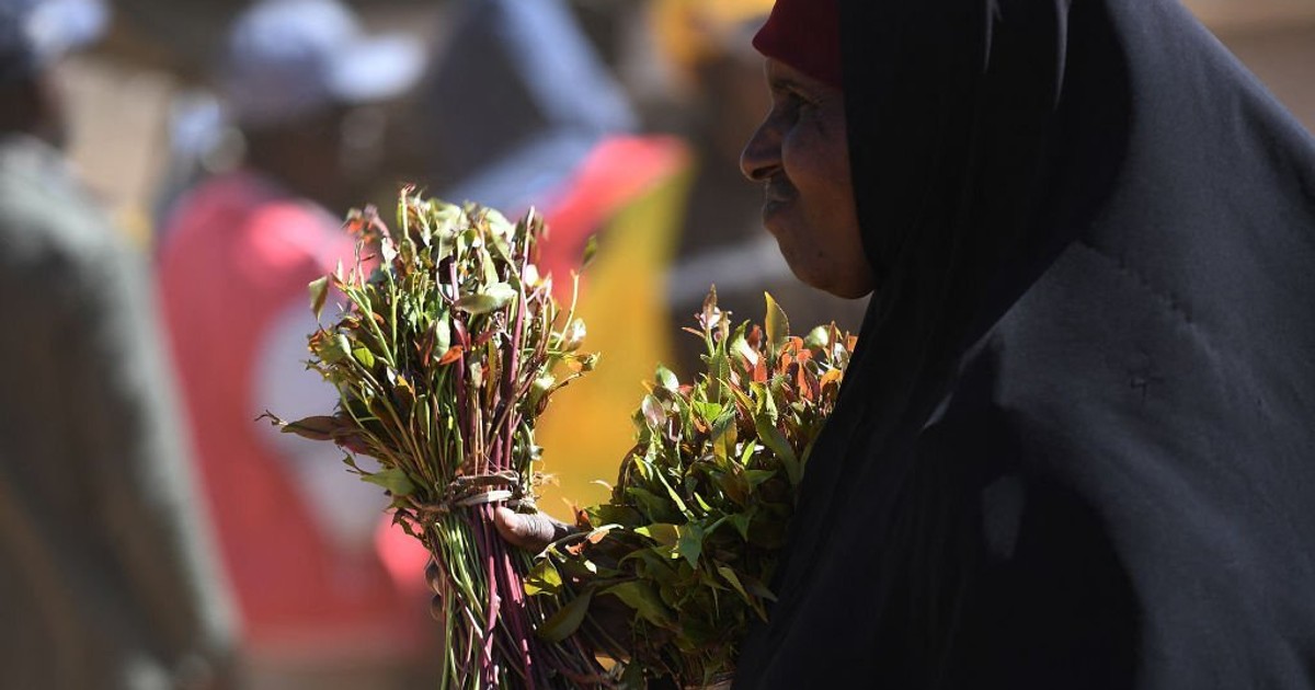 81.4 tonnes of miraa from Kenya exported to Somalia which cost Sh1Billion - Vimarsana News