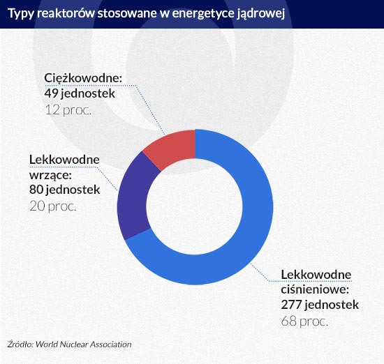 Typy reaktorów stosowane w energetyce atomowej (infografika Dariusz Gąszczyk)