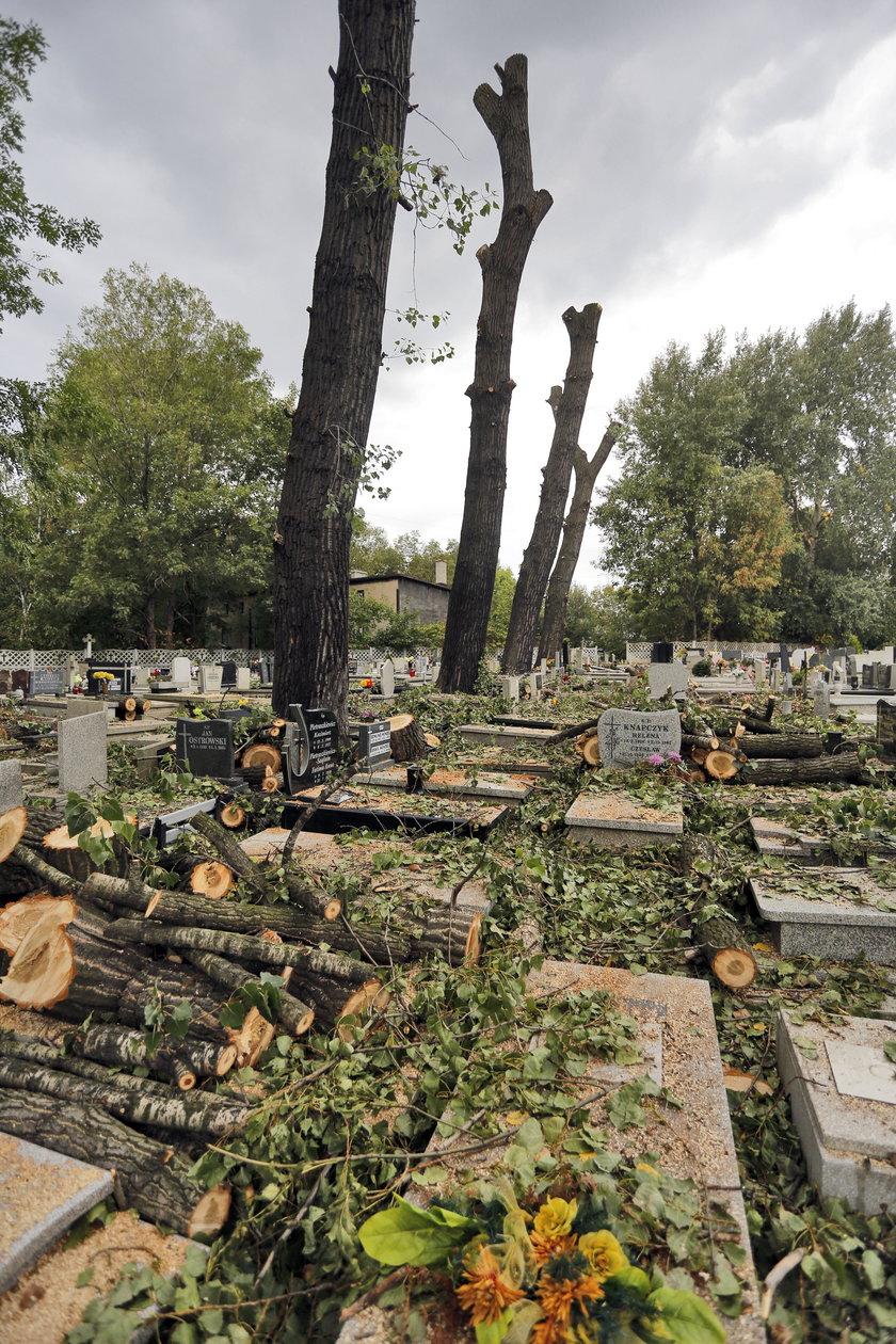 Wycięto drzewa na cmentarzu i nie posprzątano!