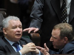 "Sytuacja w PiS jest idiotyczna"