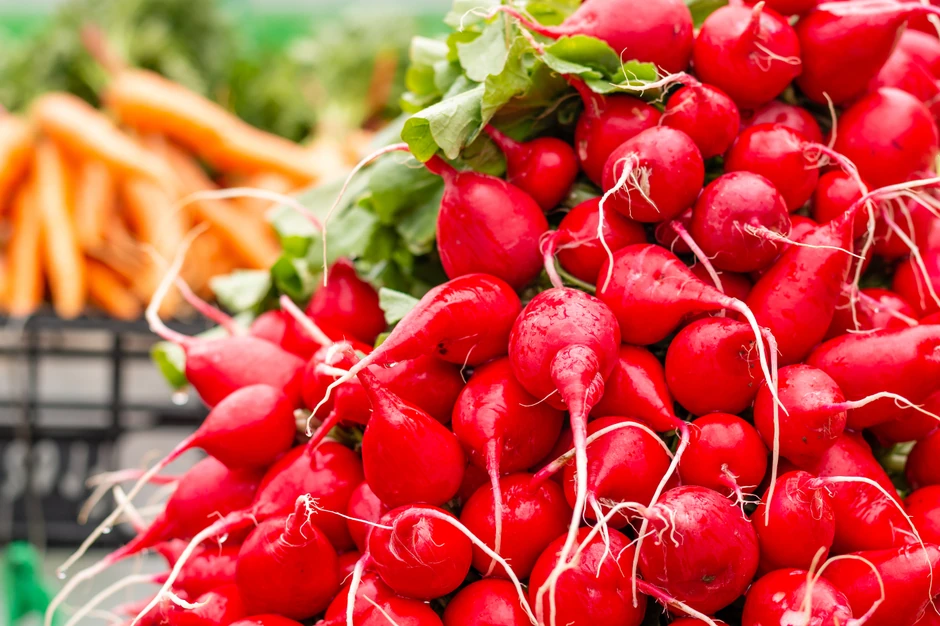 Rotkvice čiste disajne organe i urinarne puteve