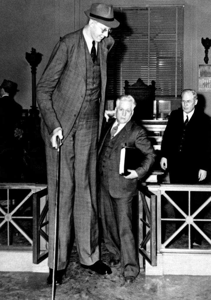 Robert Wadlow