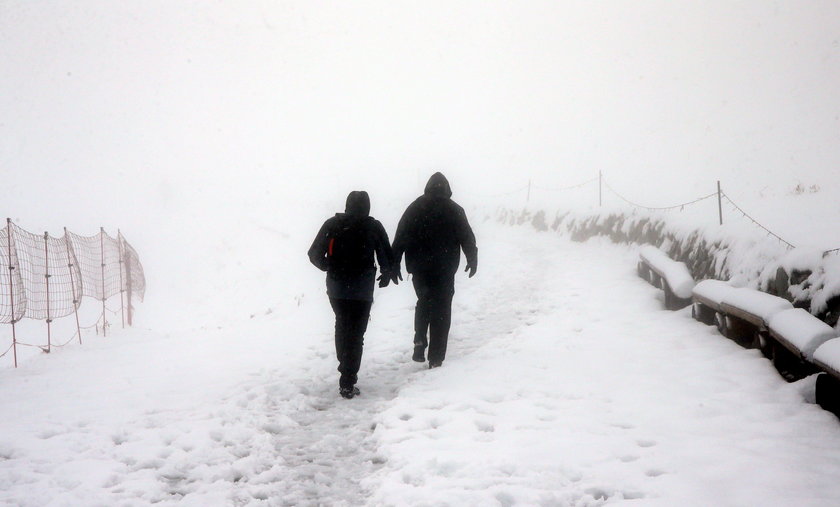 Śnieżyca w Tatrach