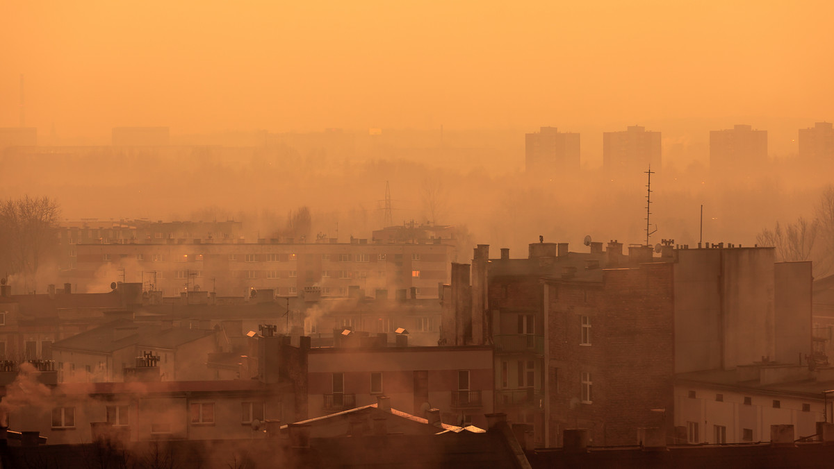 Na 1 marca br. zaplanowano debatę "Lublin wolny od smogu", podczas której dowiemy się więcej o polityce anty-smogowej miasta oraz poznamy sposoby radzenia sobie z tym coraz bardziej istotnym problemem poprzez działania trzeciego sektora. Ponadto, dzisiaj przez Lublin przejedzie Antysmogowa Masa Krytyczna.