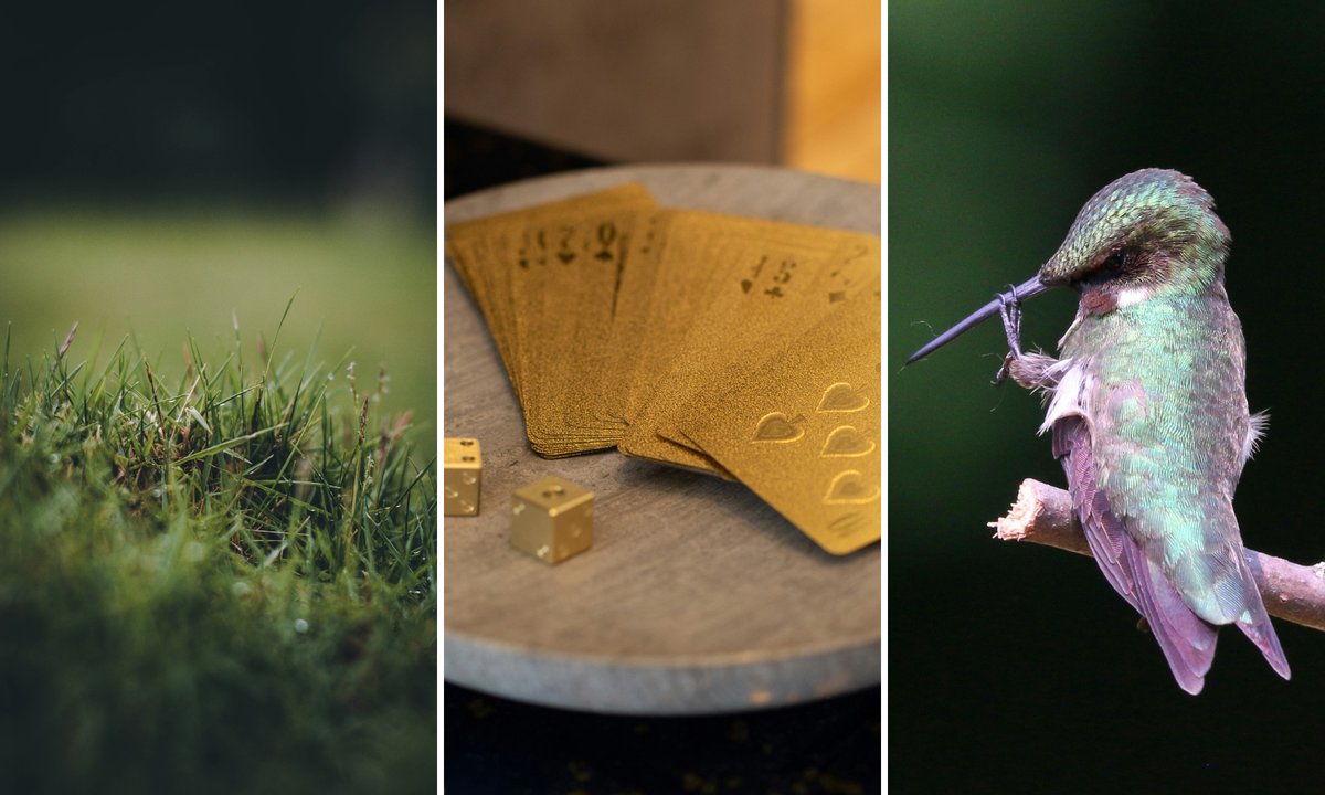 Prawda czy fałsz? 15 krótkich, zaskakujących pytań z wiedzy ogólnej