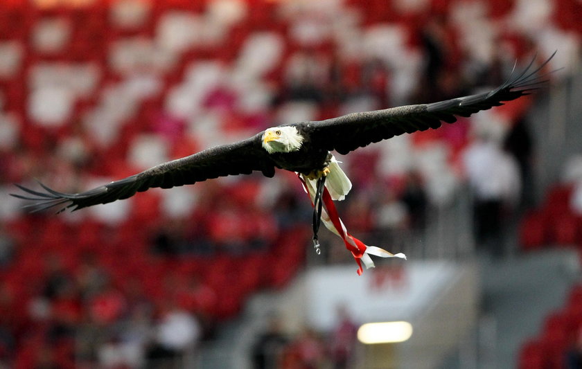 Benfica Lizbona w żałobie. Na Estadio da Luz zmarł wierny kibic