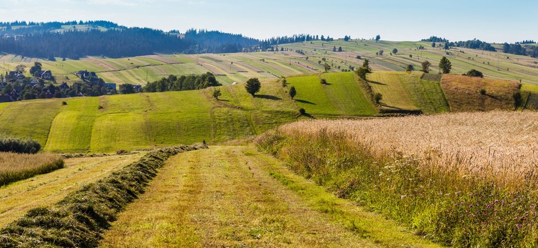 Obrót gruntami rolnymi po nowemu? Co zmienia nowelizacja ustawy o kształtowaniu ustroju rolnego?