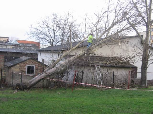 Nawet na własnym podwórku nie jest bezpiecznie-¦wiebodzice nad ranem