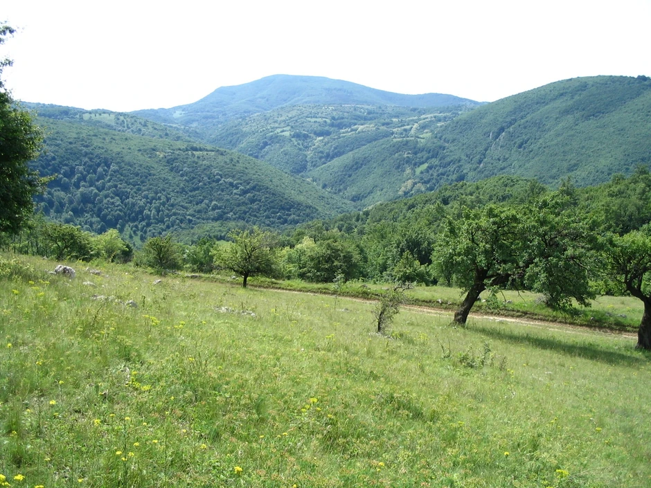 Homoljske planine foto S. Mirkovic