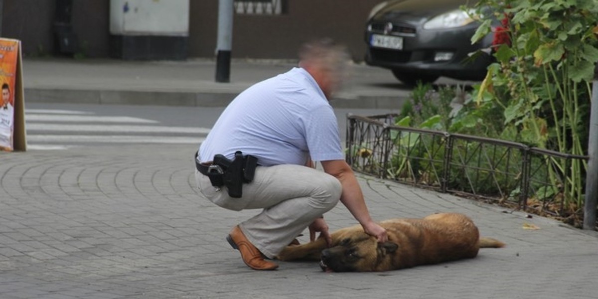 Policjanci obezwładnili agresywnego psa