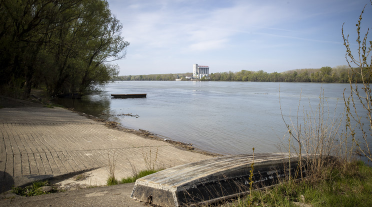 Mennyire veszélyes a Duna vize? / Illusztráció: Knap Zoltán