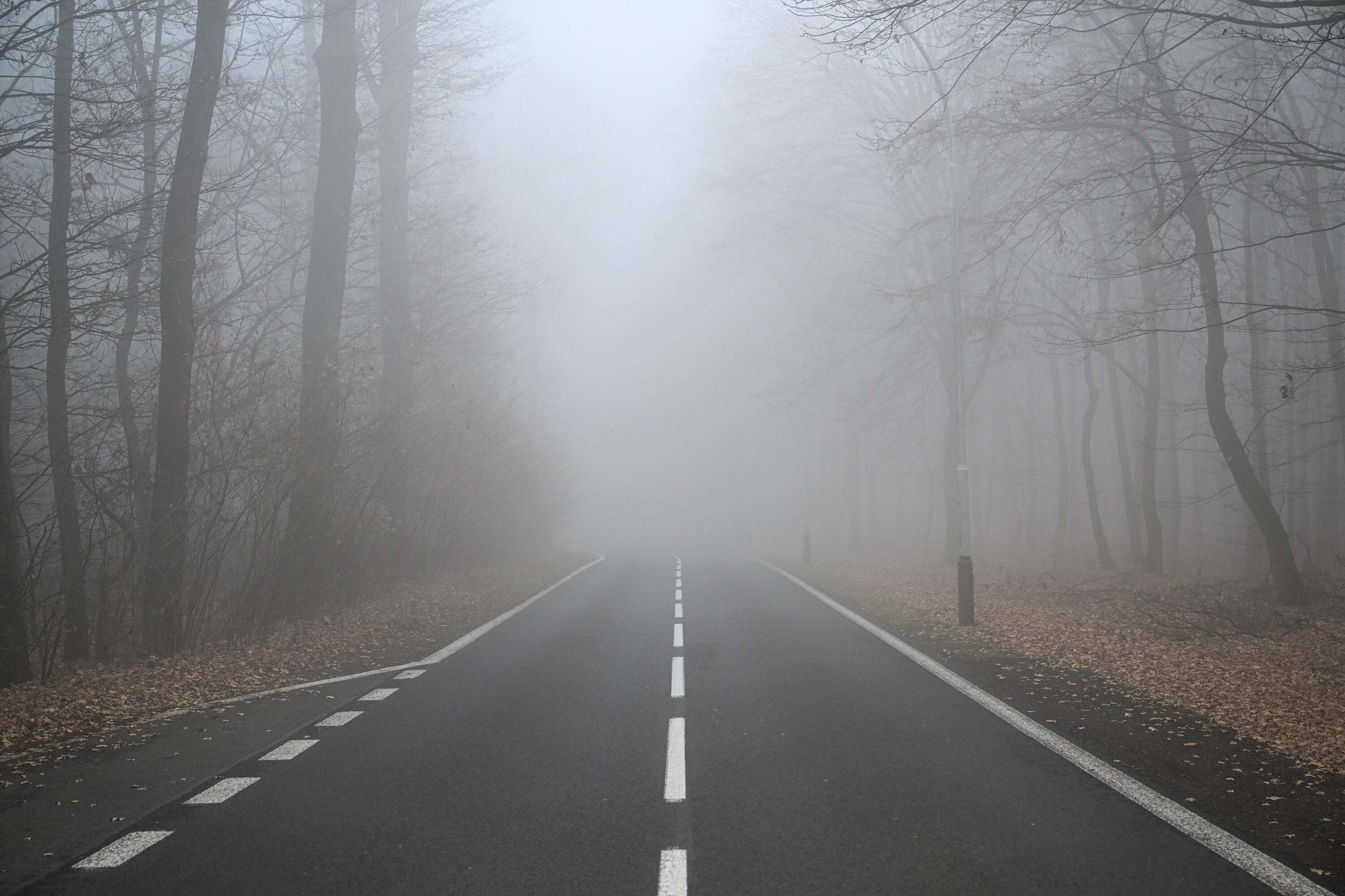 Alert IMGW: gęsta mgła w 9 województwach. Widzialność spadnie do 100 m