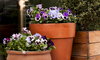 Najlepsze promocje dla domu i ogrodu - wiosna z OBI, Leroy Merlin i Castoramą