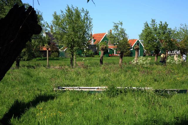 Galeria Holandia - Zaanse Schans, obrazek 32