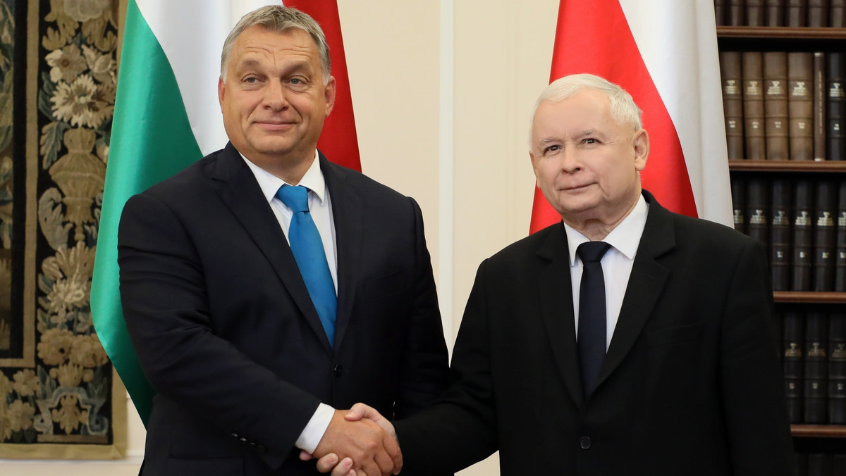 Ziemowit Szczerek: Viktor Orban uwiódł Jarosława Kaczyńskiego [WYWIAD]