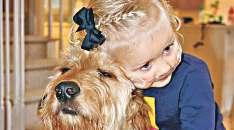 Kutya hordozza a kislány oxigénpalackját