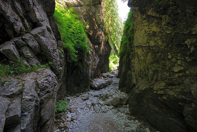 Galeria Polska - Tatry - Wąwóz Kraków, obrazek 13