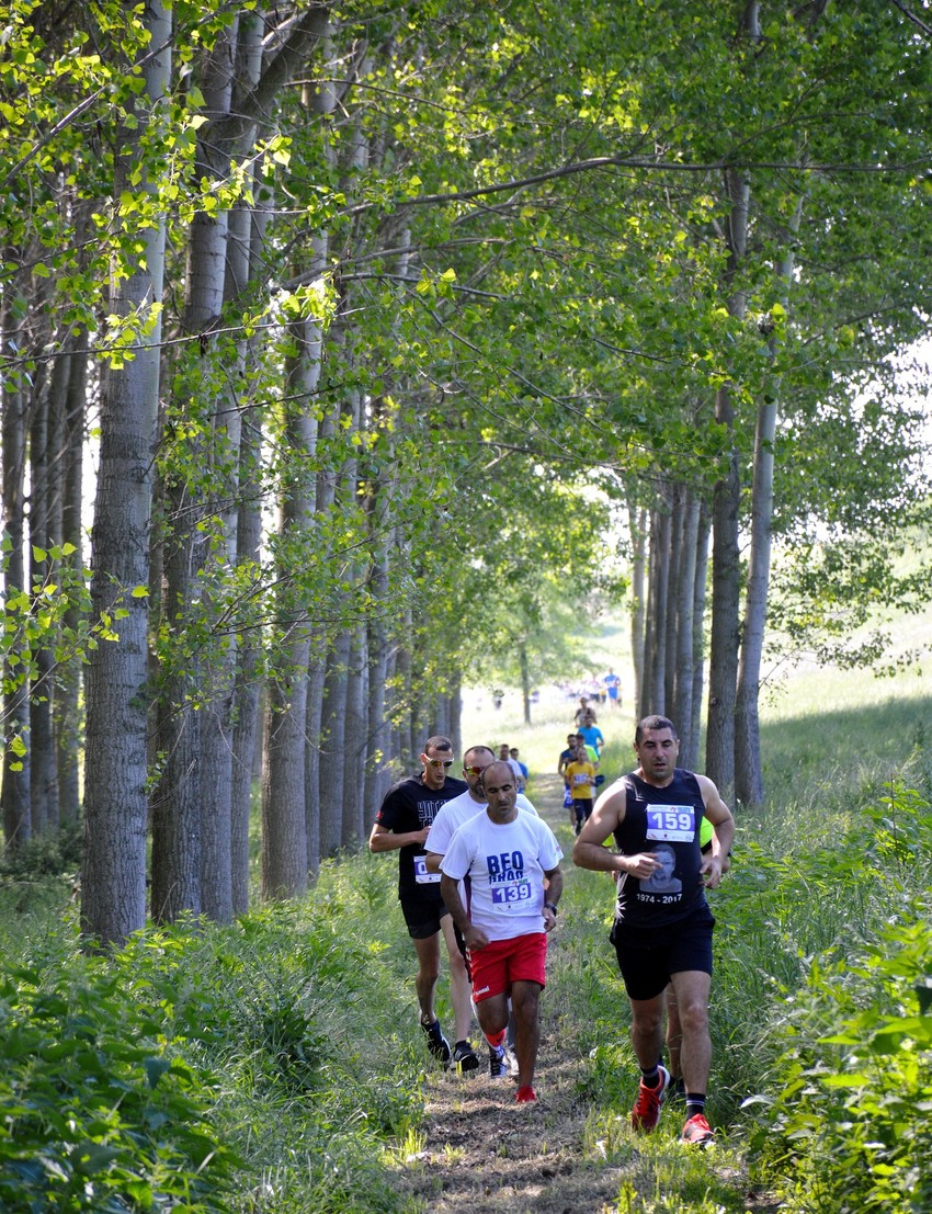 Detalj sa prethodne humanitarne trke za obolele od cistične fibroze