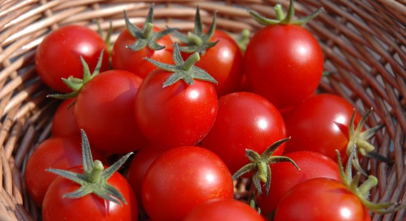 Fresh tomatoes