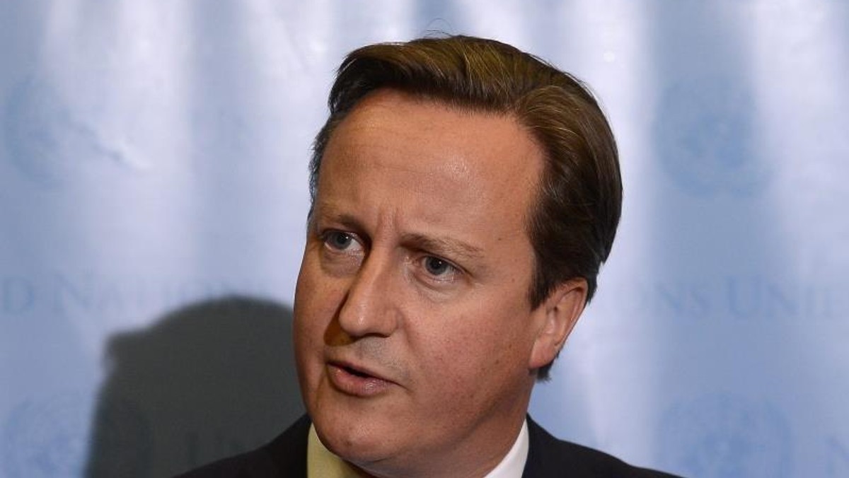 Premier Wielkiej Brytanii David Cameron twarz