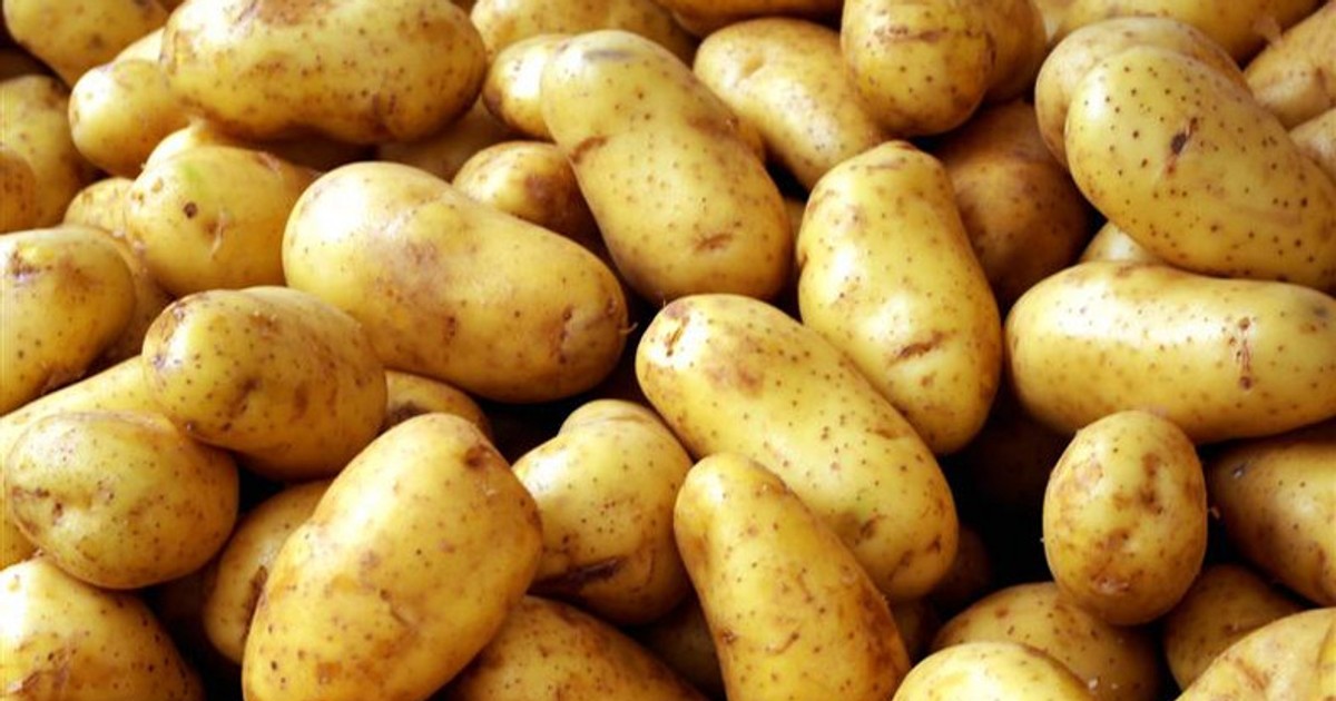Health benefits of Irish potatoes Pulse Nigeria