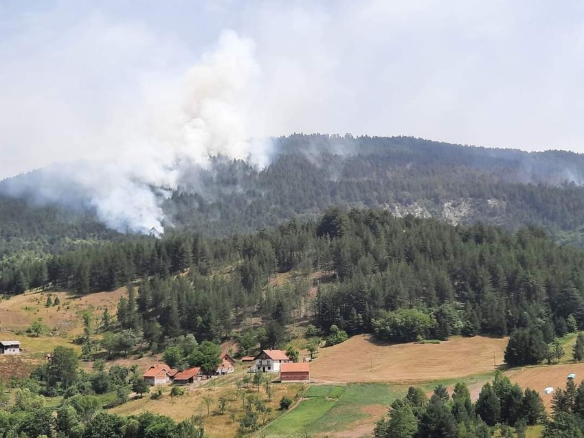 Požar prišao kućama na 50 metara, objekti za sada nisu ugroženi