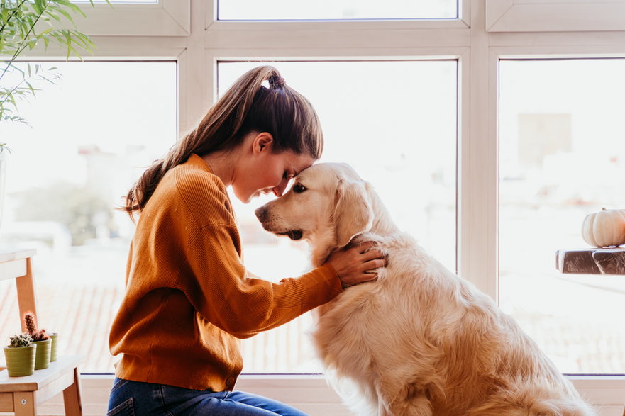 Pozostawienie psa samego w domu często jest stresujące dla opiekuna - Eva/stock.adobe.com