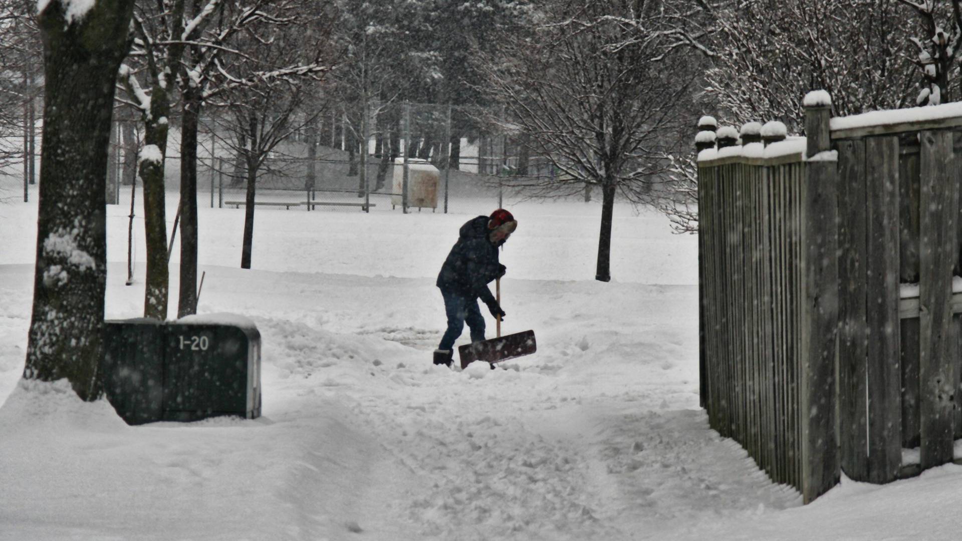 Novosađanin čisti sneg tako da mu ni Putin ne bi bio ravan