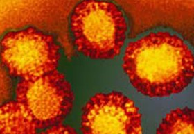 nyugat-nilusi-virus-d00000C3A30238a38d962