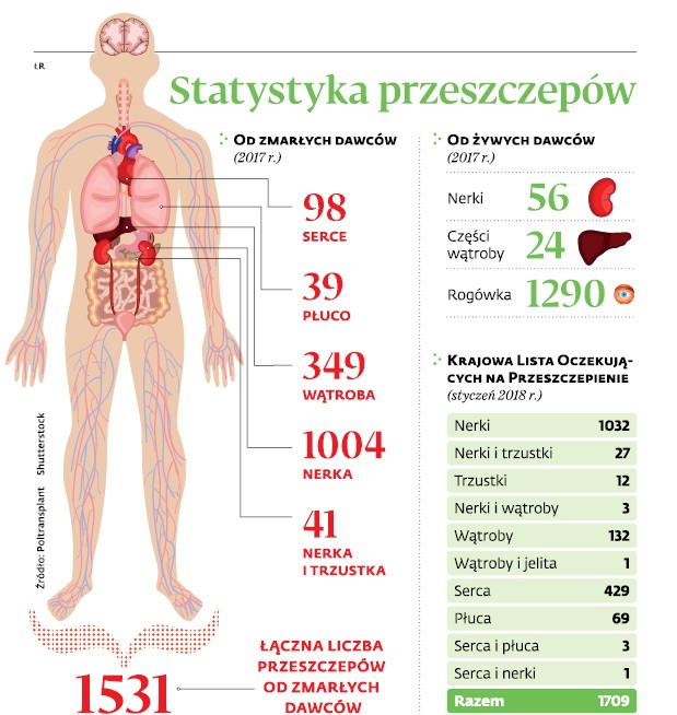 Statystyka przeszczepów