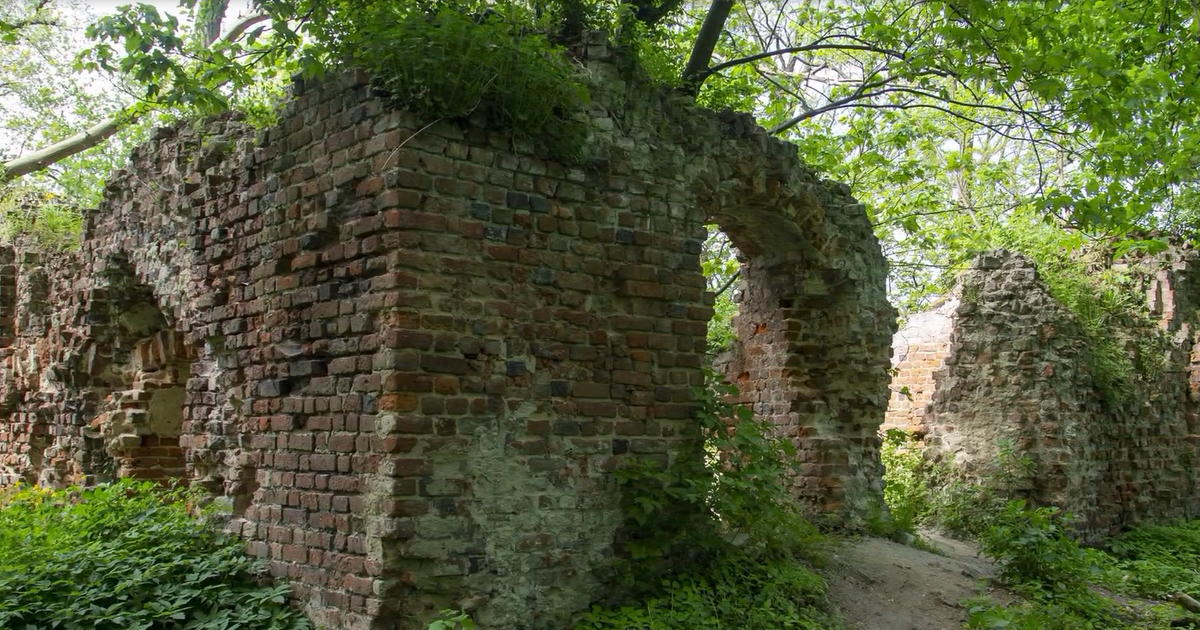 Henryk IV Probus, pechowiec z zamku w Jelczu