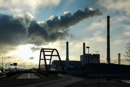 Zanieczyszczenia powietrza kosztują świat miliardy dolarów dziennie. Polska wśród krajów ponoszących największe koszty