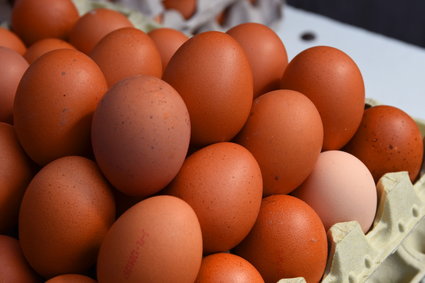 Mocny spadek eksportu jaj z Unii Europejskiej