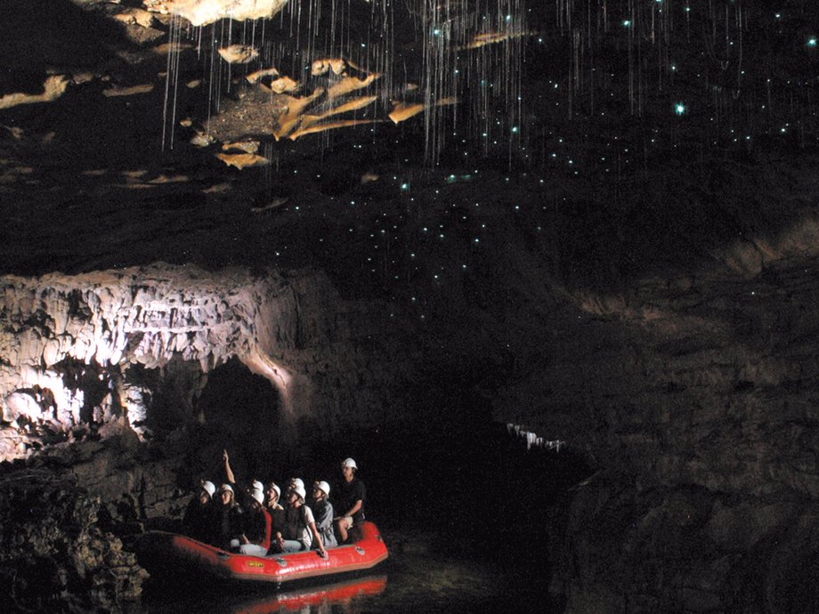 Waitomo Glowworm Caves, New Zealand