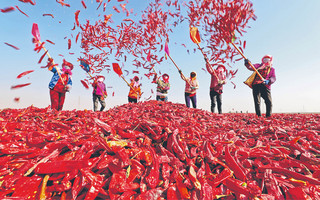 Rolnicy z Wujiang suszą czerwoną paprykę. 26 października 2022 r.